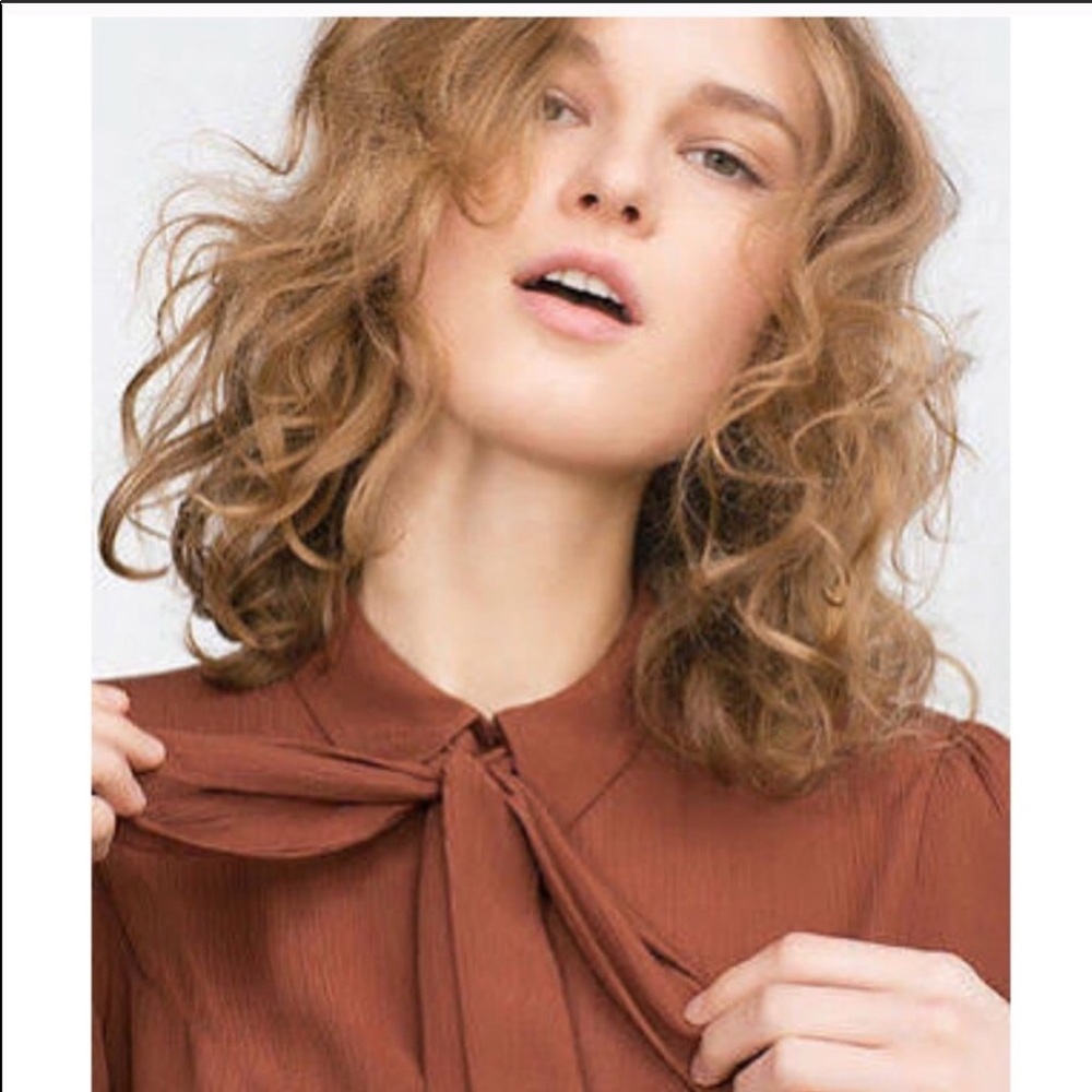 ISO: XS ZARA orange/rust/brown collared bow blouse